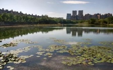 合肥市大蜀山森林公園南湖：綜合治理，再現(xiàn)美麗湖景