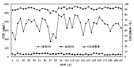 什么是COD指標及其重要性